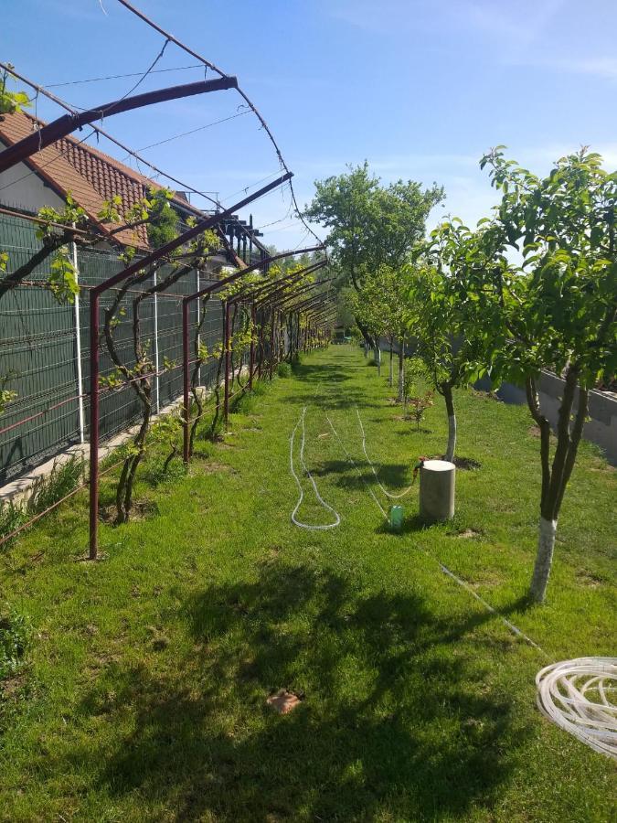 Cabanele Deltei Dunavăţu de Jos 외부 사진