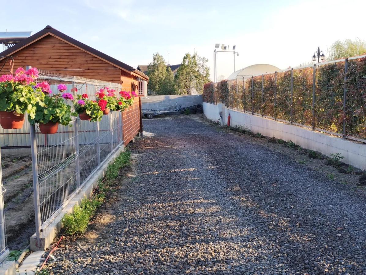 Cabanele Deltei Dunavăţu de Jos 외부 사진