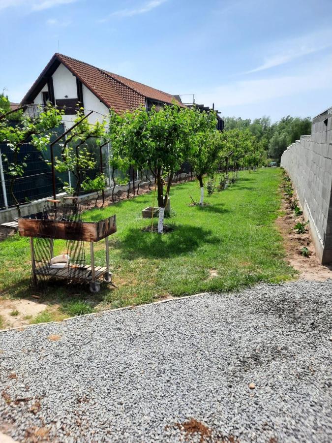Cabanele Deltei Dunavăţu de Jos 외부 사진