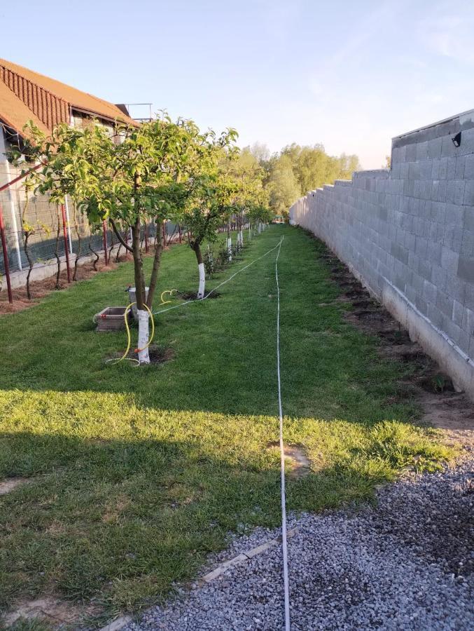 Cabanele Deltei Dunavăţu de Jos 외부 사진