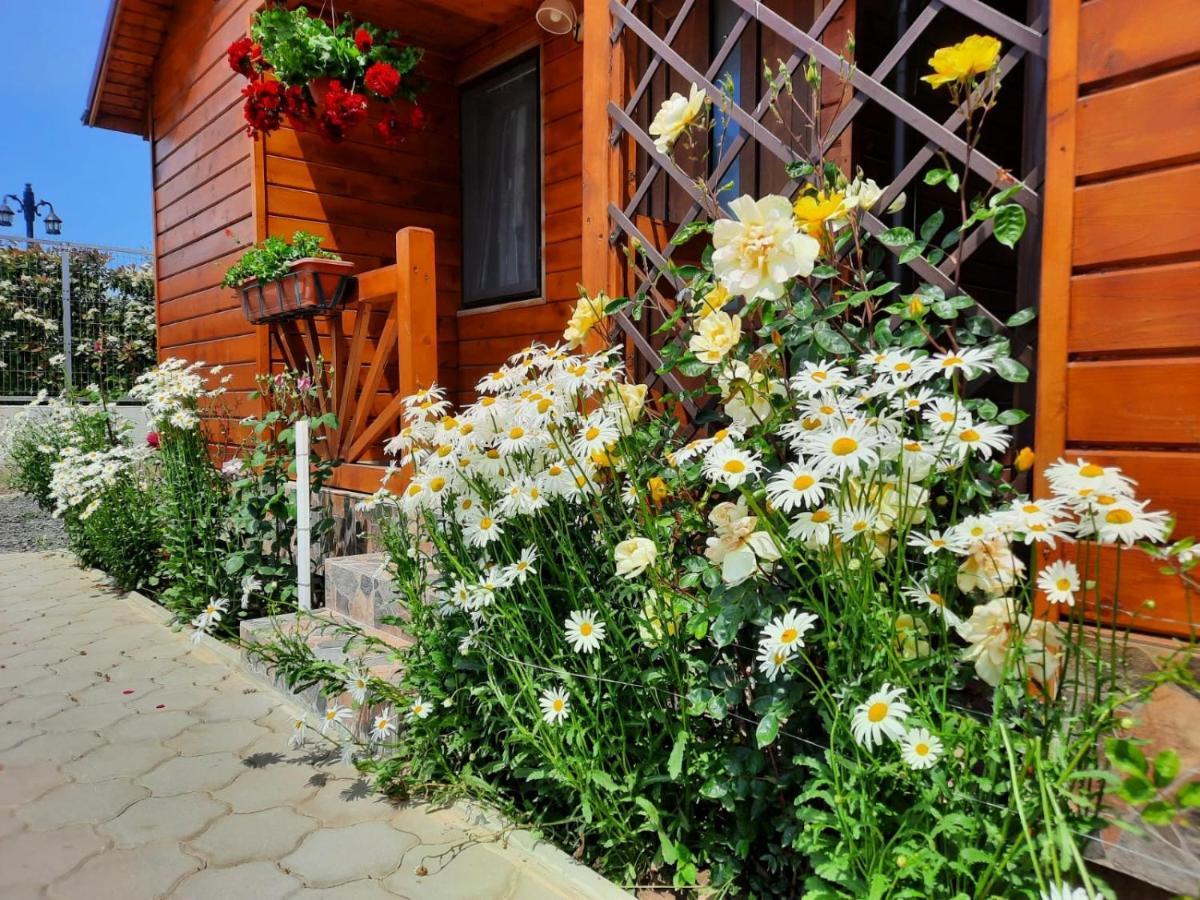 Cabanele Deltei Dunavăţu de Jos 외부 사진